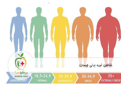 شاخص توده بدنی