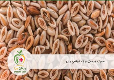 اسفرزه چیست و چه خواصی دارد