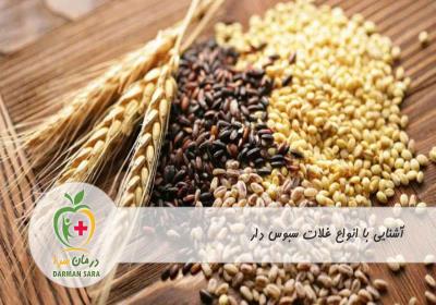 آشنایی با انواع غلات سبوس دار